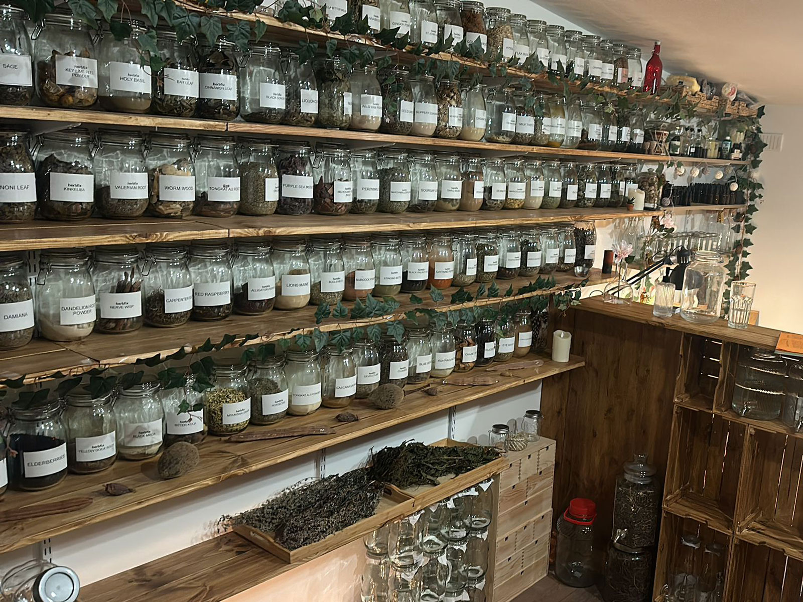 herbfix-3